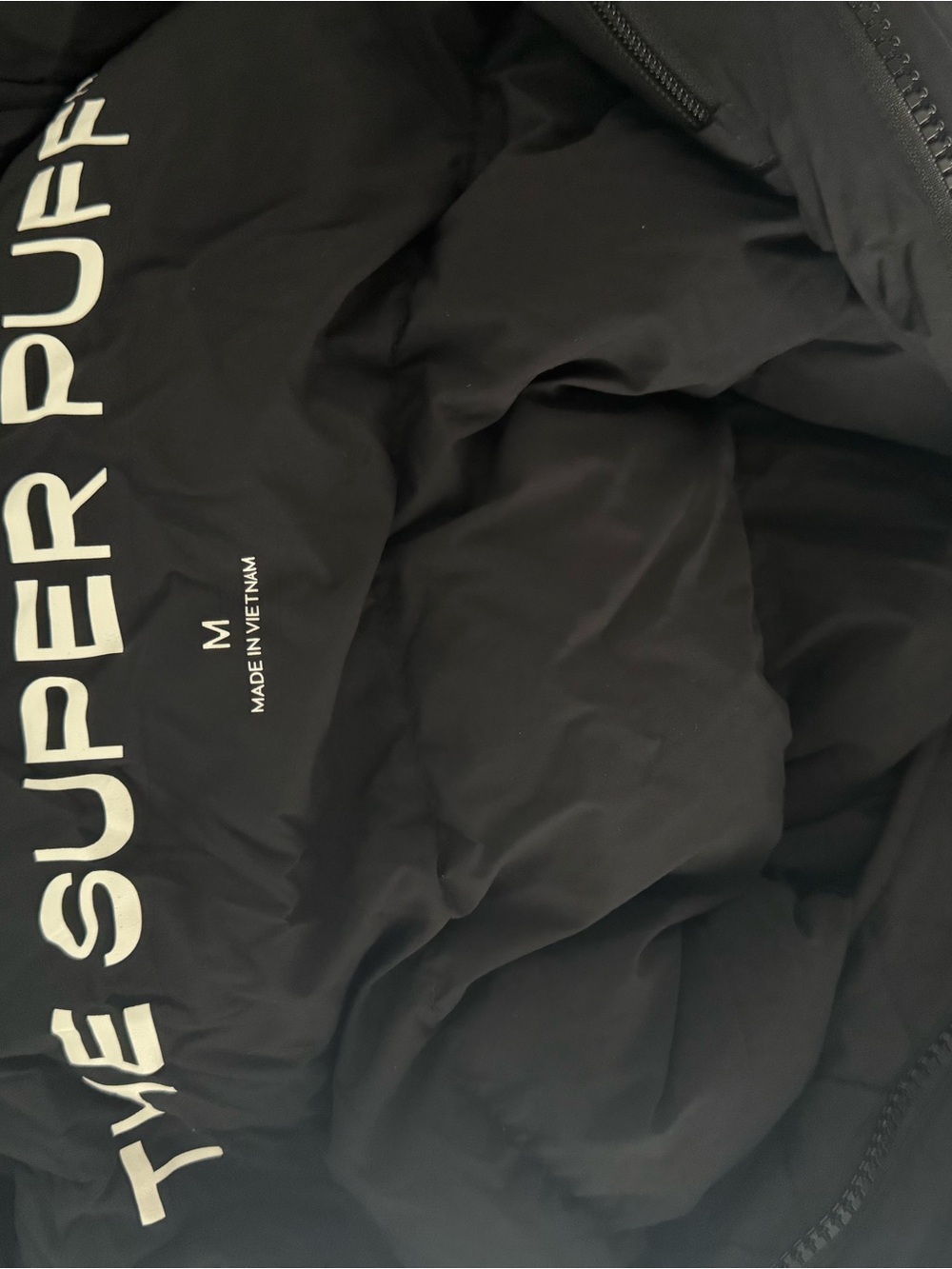 Aritzia Long Hooded Puffer Coat - Black - Picture 4 of 4